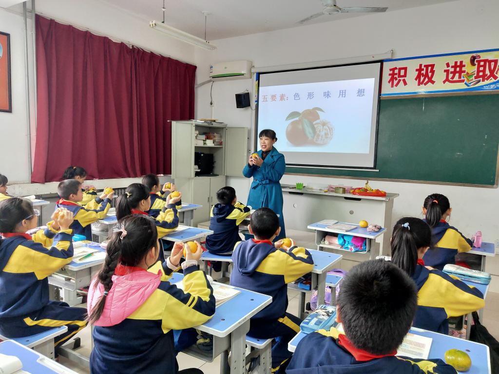 认真观察橘子的形态等
